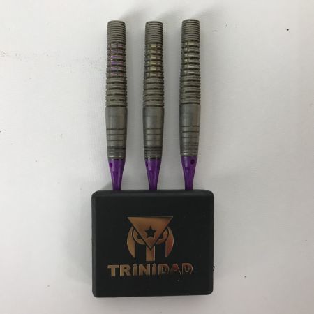  TRINIDAD トリニダード バレル ロメロ ROMERO 20ｇ ダーツ 岩田夏海モデル フライト付 やや前重心