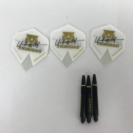  TRINIDAD トリニダード バレル ロメロ ROMERO 20ｇ ダーツ 岩田夏海モデル フライト付 やや前重心