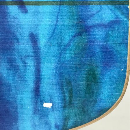  CARVER スケートボード レジン 31インチ サーフスケート カーバー