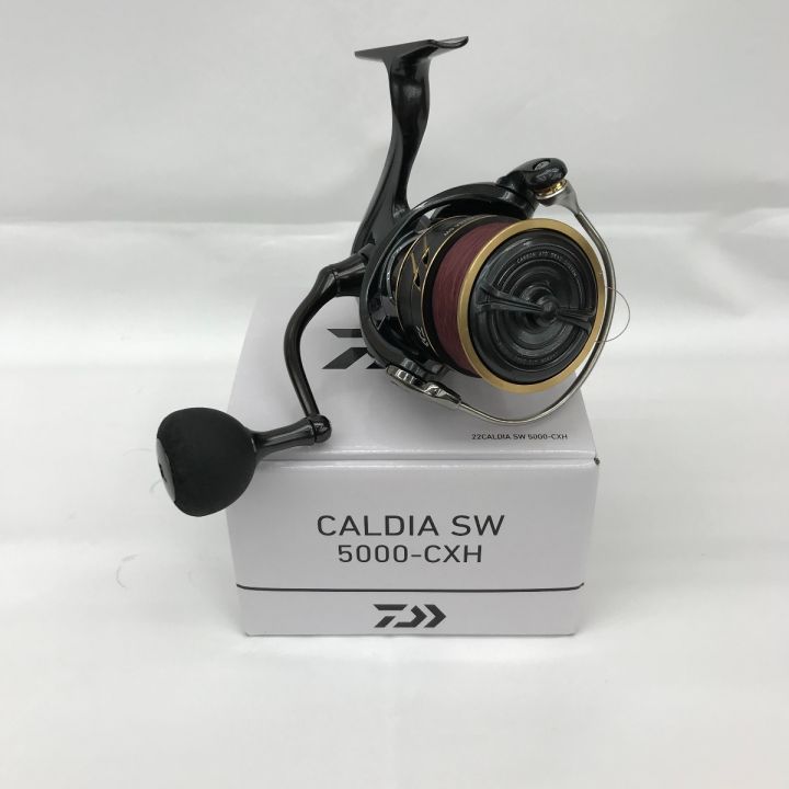 DAIWA ダイワ スピニングリール 22 カルディアSW 5000-CXH キズ有 箱付｜中古｜なんでもリサイクルビッグバン