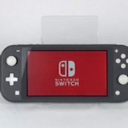  Nintendo ニンテンドウ ニンテンドー Switch Lite スイッチライト グレー 本体のみ HDH-001