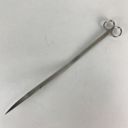  ADA プロシザース・ヌード  NATURE AQUARIUM