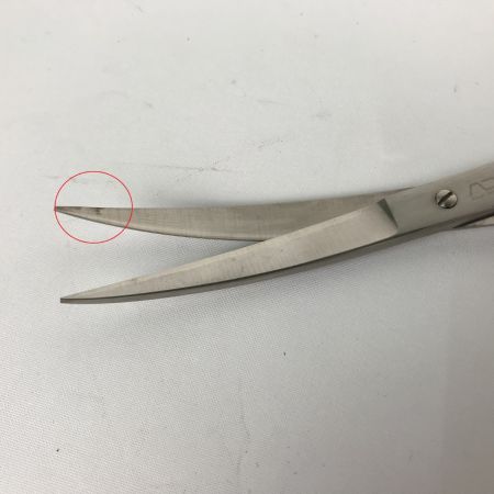  ADA プロシザース・ヌード  NATURE AQUARIUM