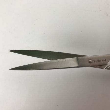  ADA プロシザース・ヌード  NATURE AQUARIUM