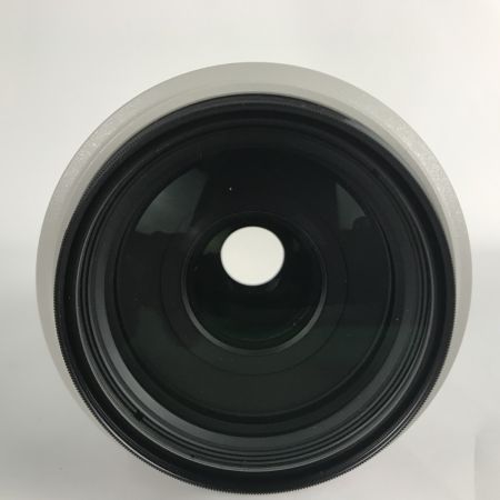  CANON キャノン 望遠ズームレンズ EF70-300ｍｍ f4-5.6 L IS USM ウルトラソニック ET-73B