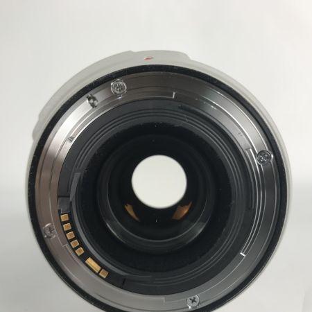  CANON キャノン 望遠ズームレンズ EF70-300ｍｍ f4-5.6 L IS USM ウルトラソニック ET-73B