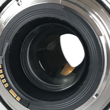  CANON キャノン 望遠ズームレンズ EF70-300ｍｍ f4-5.6 L IS USM ウルトラソニック ET-73B