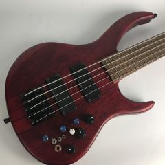  InyenVina IYV 5弦ベース オーダーベース 本体のみ Bランク