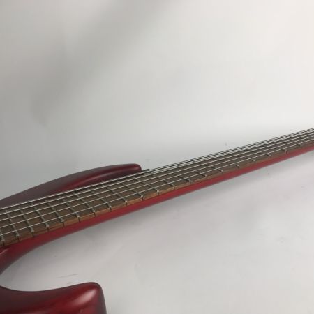  InyenVina IYV 5弦ベース オーダーベース 本体のみ