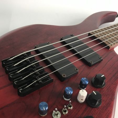  InyenVina IYV 5弦ベース オーダーベース 本体のみ