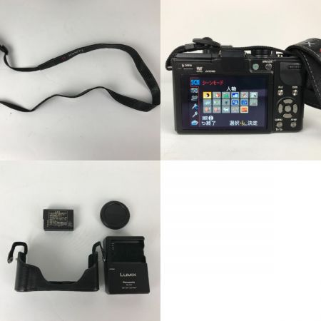  Panasonic パナソニック LUMIX ルミックス デジタル一眼レフカメラ バッテリー充電器付 DMC-GX1