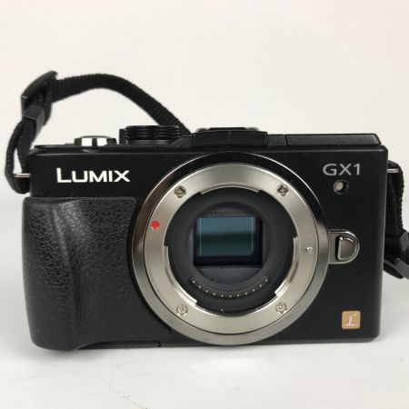  Panasonic パナソニック LUMIX ルミックス デジタル一眼レフカメラ バッテリー充電器付 DMC-GX1
