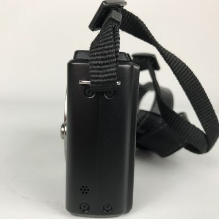  Panasonic パナソニック LUMIX ルミックス デジタル一眼レフカメラ バッテリー充電器付 DMC-GX1