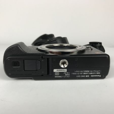  Panasonic パナソニック LUMIX ルミックス デジタル一眼レフカメラ バッテリー充電器付 DMC-GX1