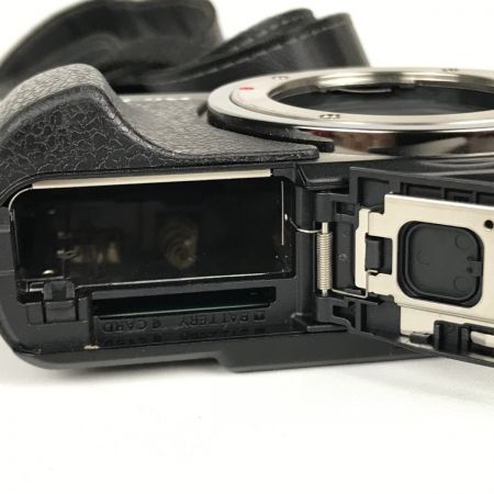  Panasonic パナソニック LUMIX ルミックス デジタル一眼レフカメラ バッテリー充電器付 DMC-GX1