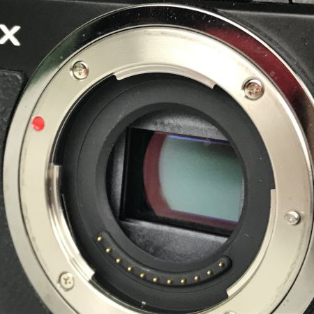  Panasonic パナソニック LUMIX ルミックス デジタル一眼レフカメラ バッテリー充電器付 DMC-GX1