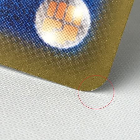   ポケモンカード sv5K 095/071 タケルライコex SAR