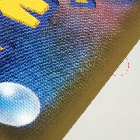   ポケモンカード s7R 077/067 サナ SR 白欠けあり