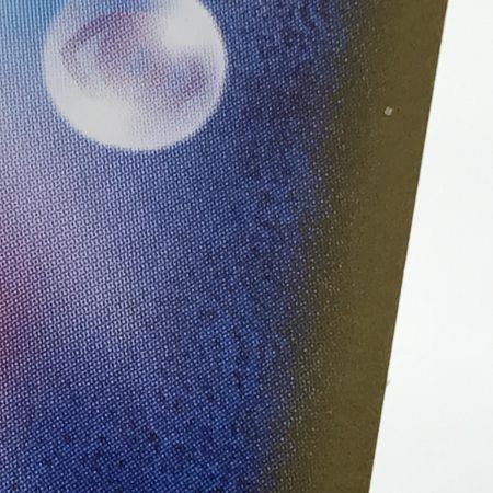   ポケモンカード sv8 133/106 サザンドラex SAR 超電ブレイカー キズ有