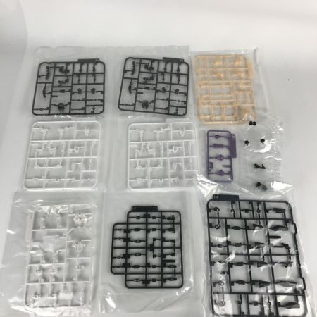   アイリス Ver1.5 クリアランナー付属特別版 「ブロッカーズFIORE(フィオーレ)」プラモデル 09.5