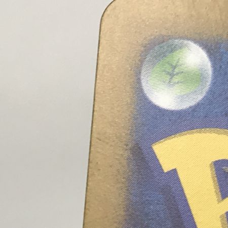   ポケモンカード sv6 130/101 ゼイユ SAR プラケース付