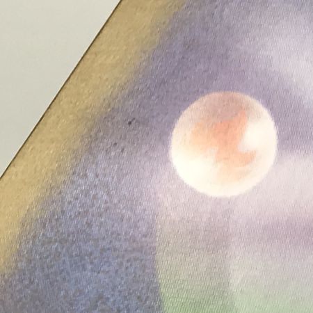   ポケモンカード sv11B 169/086 ゼクロムex SAR 白欠けあり