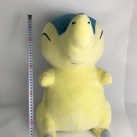   ポケモンセンター限定 等身大ヒノアラシ ぬいぐるみ「ポケットモンスター」 タグ付