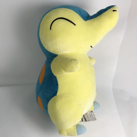   ポケモンセンター限定 等身大ヒノアラシ ぬいぐるみ「ポケットモンスター」 タグ付