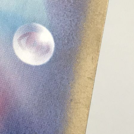   ポケモンカード sv8a 224/187 イーブイex SAR