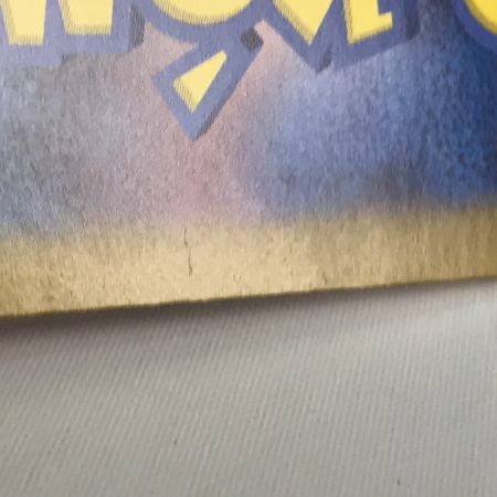   ポケモンカード sv8a 224/187 イーブイex SAR