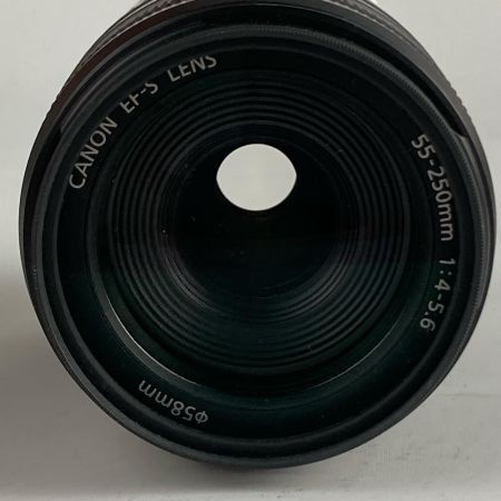  CANON キャノン ズームレンズ EF-S 55-250mm 1:4-5.6