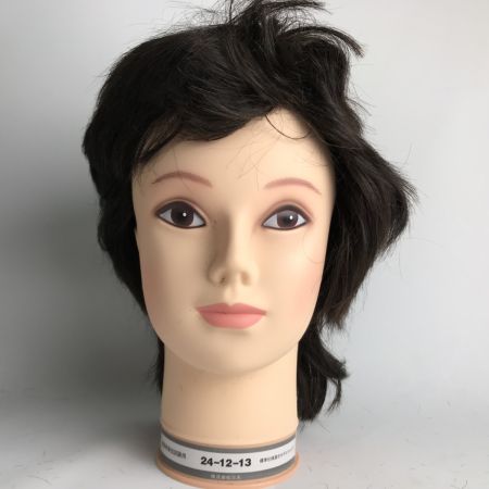   標準仕様適合モデルウィッグ まとめ12個 美容師実技試験用 株式会社三矢 カットウィッグ②