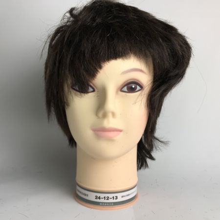   標準仕様適合モデルウィッグ まとめ12個 美容師実技試験用 株式会社三矢 カットウィッグ②