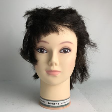   標準仕様適合モデルウィッグ まとめ12個 美容師実技試験用 株式会社三矢 カットウィッグ④