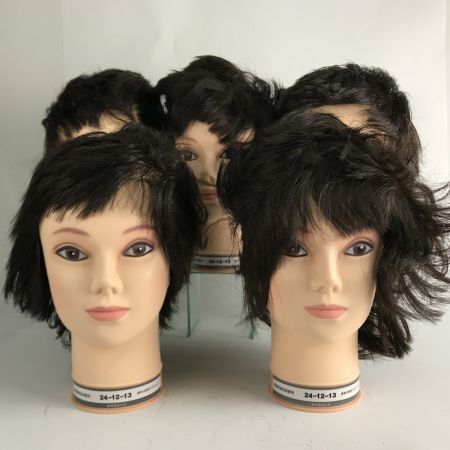   標準仕様適合モデルウィッグまとめ5個 美容師実技試験用 株式会社三矢 カットウィッグ 24-12-13