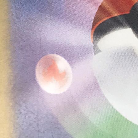   ポケモンカード sv9a 087/063 シロナのガブリアスex SAR キズ有