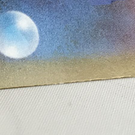   ポケモンカード メガジガルデex MUR 117/080 キズ有