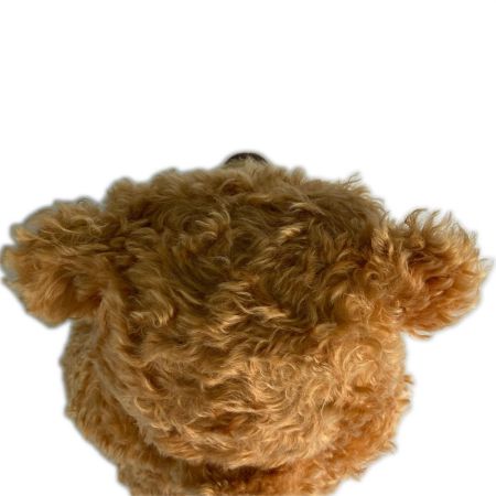  Steiff(シェタイフ) 【2006体限定】クラシックテディベア 58cm  シリアル2桁 グロウラー内蔵 037054 レンガ色