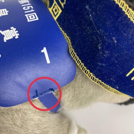   AVANTI(アバンティー) ゴールドシップ号 151回天皇賞 競走馬ぬいぐるみ HOT MILK