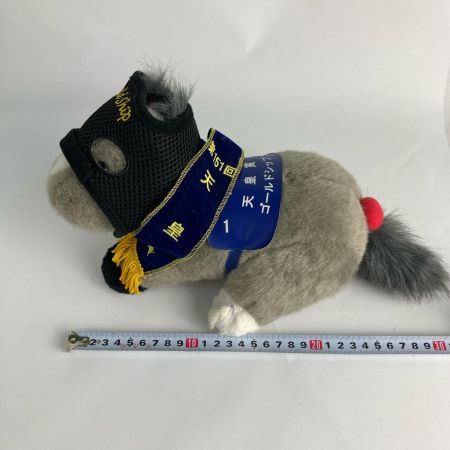   AVANTI(アバンティー) ゴールドシップ号 151回天皇賞 競走馬ぬいぐるみ HOT MILK
