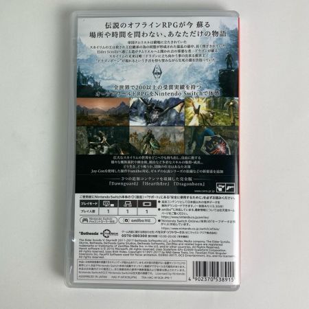   スカイリム NINTENDO switchソフト The Elder Scrolls V SKYRIM