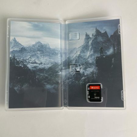   スカイリム NINTENDO switchソフト The Elder Scrolls V SKYRIM