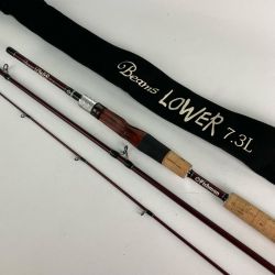 Fishman フィッシュマン ビームス ローワー 7.3L Beams LOWER 布袋付 Bランク