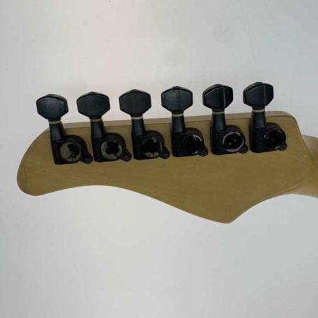  FERNANDES フェルナンデス 楽器  エレキギター ブラック