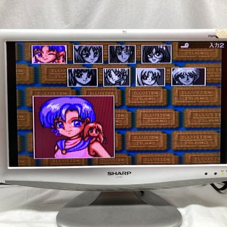   ジャンク品　読込確認済み　PC-FX パチ夫くんFX　幻の島大決戦