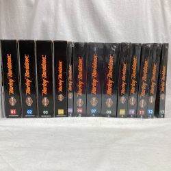 ●● デアゴスティーニ  ハーレーダビットソン ファットボーイ1-13号 Bランク