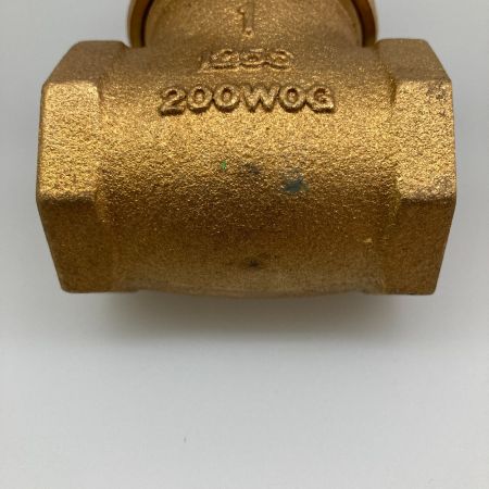  東洋バルヴ 青銅ゲートバブル M125E-BS-N