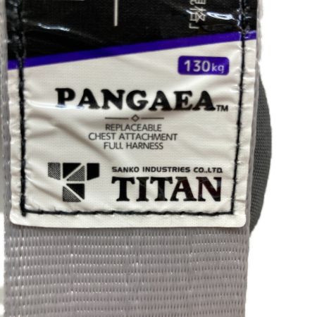  TITAN フルハーネス型安全帯 HL-ZCW型 PAHN-10A-SI-H007-L