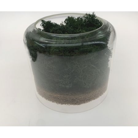  briiv 空気清浄機 自然派エコ空気清浄機 約20畳