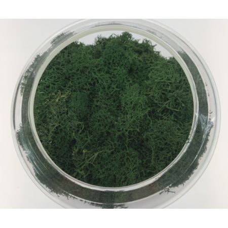  briiv 空気清浄機 自然派エコ空気清浄機 約20畳